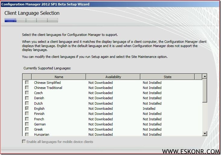 SCCM 2012 Primary site Installation (8)